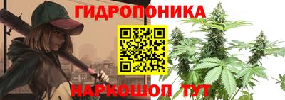 тгк Иваново
