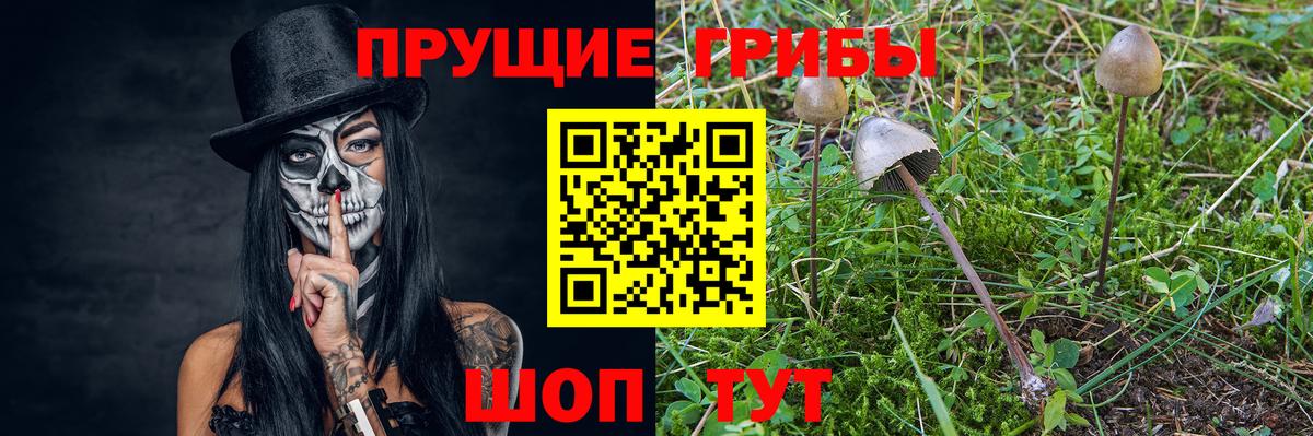 Ижевск  Галлюциногенные грибы ЛСД  Вход с VPN  Псилоцибиновые грибы Cubensis 